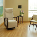 Soltice Glider - Image 3